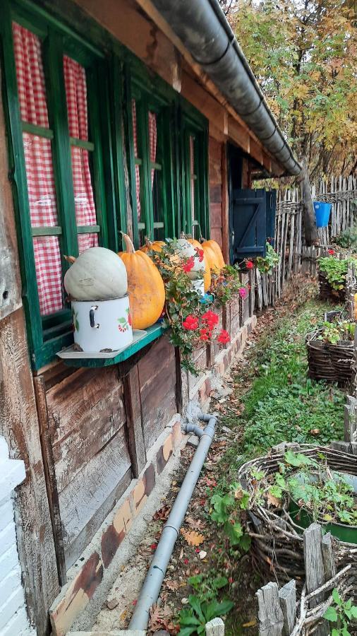 Apartman Mila, Banja Koviljača Bagian luar foto