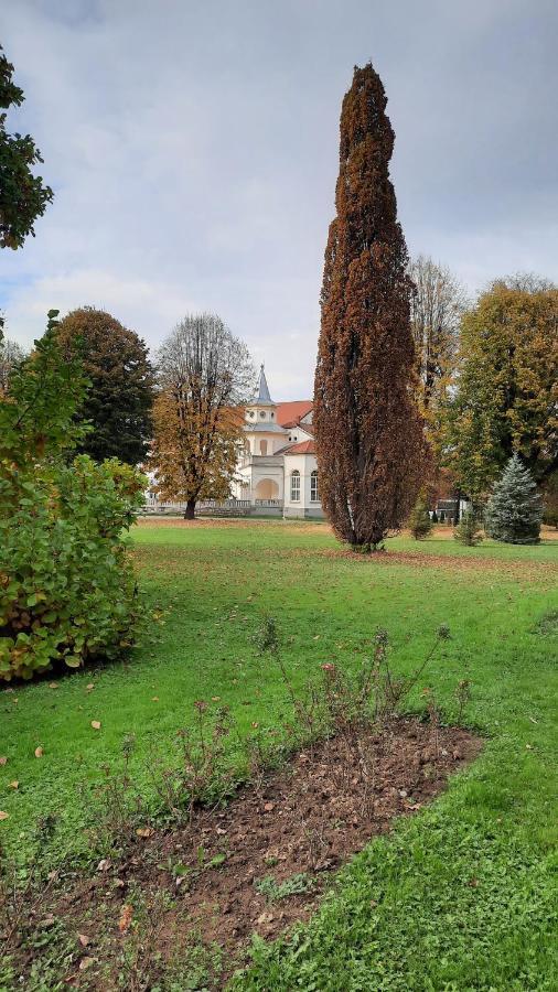 Apartman Mila, Banja Koviljača Bagian luar foto