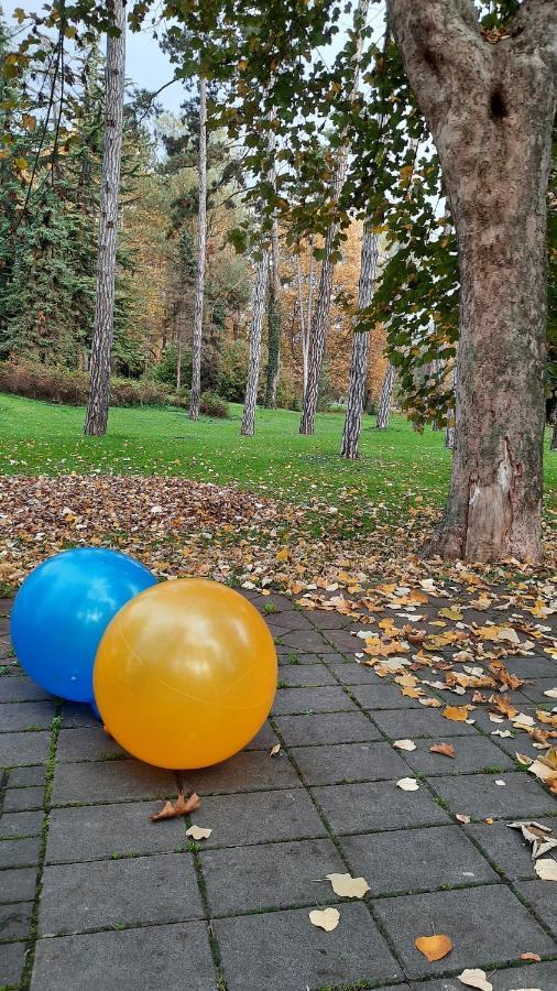 Apartman Mila, Banja Koviljača Bagian luar foto